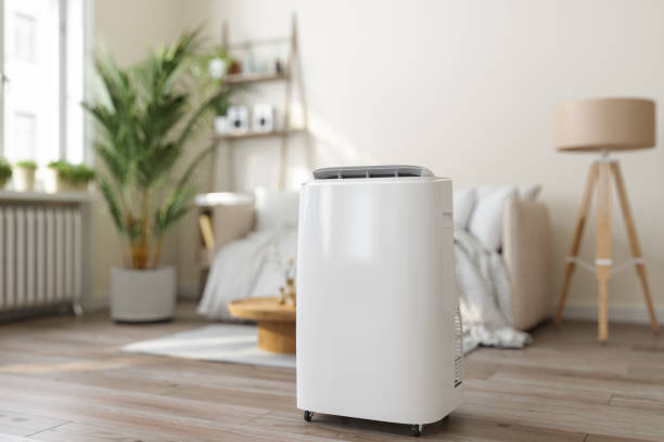 Best VRF (Variable Refrigerant Flow) Systems in Green Valley, CA